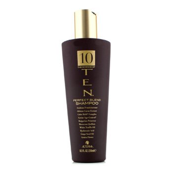 Vlasový šampon 10 The Science of TEN Perfect Blend Shampoo