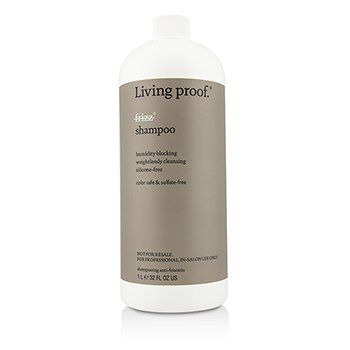 Šampon proti zvlnění a krepatění Frizz Shampoo (salonní produkt)
