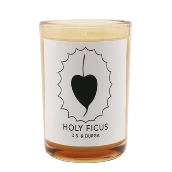 Candle - Holy Ficus