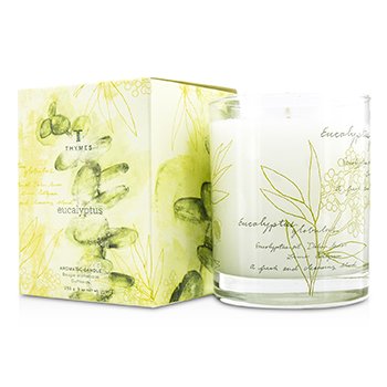 Aromatická svíčka - Eukalypt